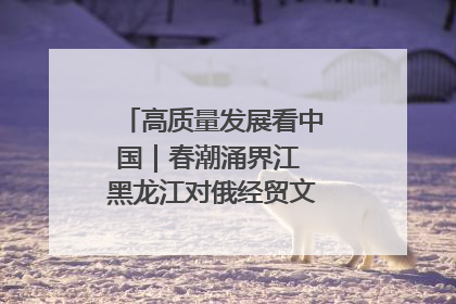 高质量发展看中国｜春潮涌界江 黑龙江对俄经贸文旅交流绿意盎然