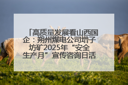 高质量发展看山西国企：朔州煤电公司增子坊矿2025年“安全生产月”宣传咨询日活动亮点纷呈