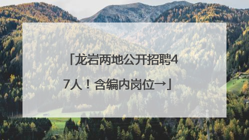 龙岩两地公开招聘47人！含编内岗位→