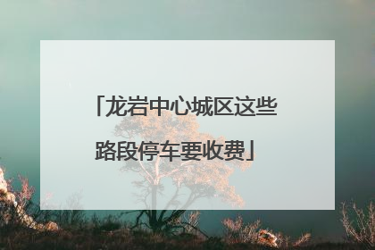 龙岩中心城区这些路段停车要收费