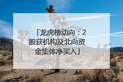 龙虎榜动向：2股获机构及北向资金集体净买入