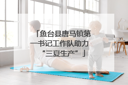 鱼台县唐马镇第一书记工作队助力“三夏生产”
