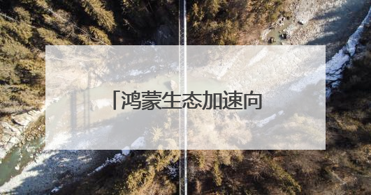 鸿蒙生态加速向前：华为应用市场如何打造开发者“增长新飞轮”？