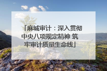麻城审计：深入贯彻中央八项规定精神 筑牢审计质量生命线