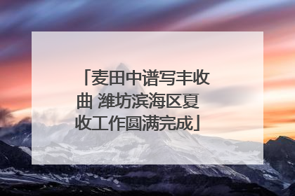 麦田中谱写丰收曲 潍坊滨海区夏收工作圆满完成