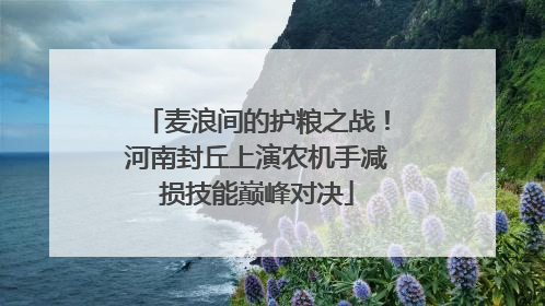 麦浪间的护粮之战！河南封丘上演农机手减损技能巅峰对决