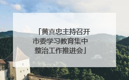 黄喜忠主持召开市委学习教育集中整治工作推进会