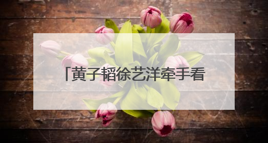 黄子韬徐艺洋牵手看鹿晗演唱会，“老相识” 同框太好嗑！