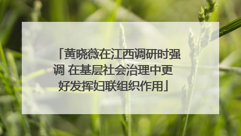 黄晓薇在江西调研时强调 在基层社会治理中更好发挥妇联组织作用
