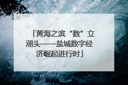 黄海之滨“数”立潮头——盐城数字经济崛起进行时