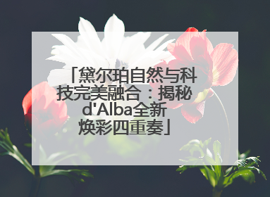 黛尔珀自然与科技完美融合：揭秘d'Alba全新焕彩四重奏
