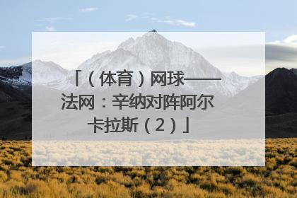 （体育）网球——法网：辛纳对阵阿尔卡拉斯（2）