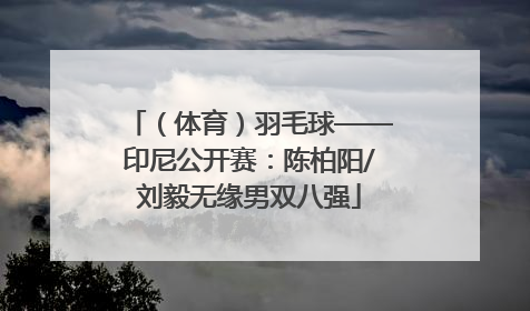 （体育）羽毛球——印尼公开赛：陈柏阳/刘毅无缘男双八强