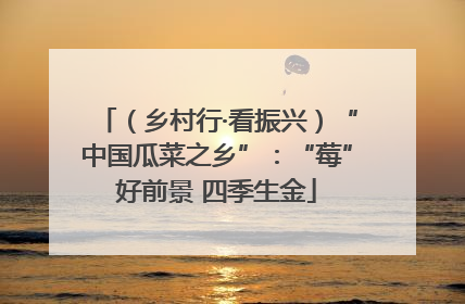 （乡村行·看振兴）“中国瓜菜之乡”：“莓”好前景 四季生金