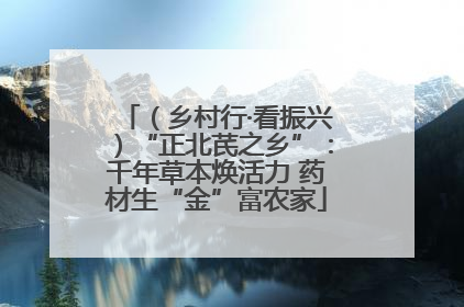 （乡村行·看振兴）“正北芪之乡”：千年草本焕活力 药材生“金”富农家