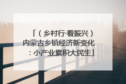 （乡村行·看振兴）内蒙古乡镇经济新变化：小产业累积大民生