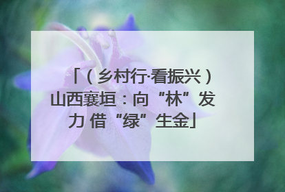 （乡村行·看振兴）山西襄垣：向“林”发力 借“绿”生金