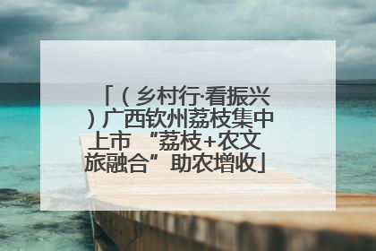 （乡村行·看振兴）广西钦州荔枝集中上市 “荔枝+农文旅融合”助农增收