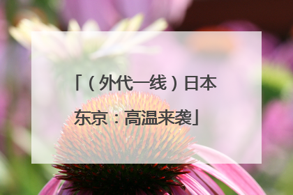 （外代一线）日本东京：高温来袭