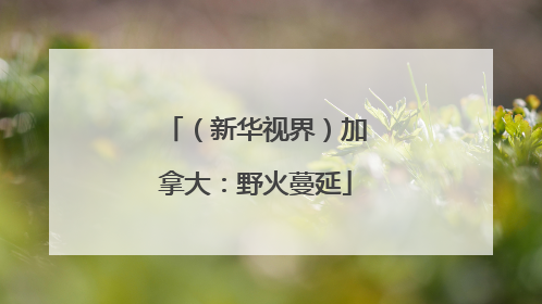 （新华视界）加拿大：野火蔓延