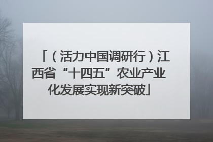 （活力中国调研行）江西省“十四五”农业产业化发展实现新突破