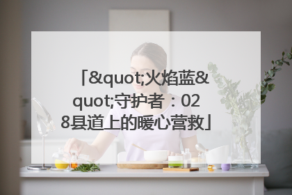"火焰蓝"守护者：028县道上的暖心营救