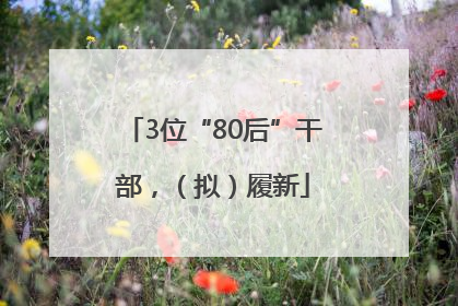 3位“80后”干部，（拟）履新