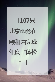 107只北京雨燕在颐和园完成年度“体检”