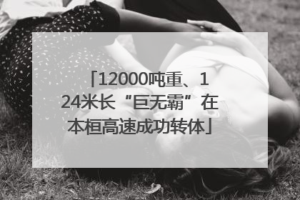 12000吨重、124米长“巨无霸”在本桓高速成功转体