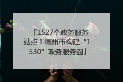 1527个政务服务站点！德州市构建“1530”政务服务圈