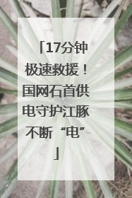 17分钟极速救援！国网石首供电守护江豚不断“电”