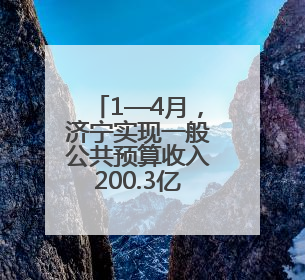 1—4月，济宁实现一般公共预算收入200.3亿元