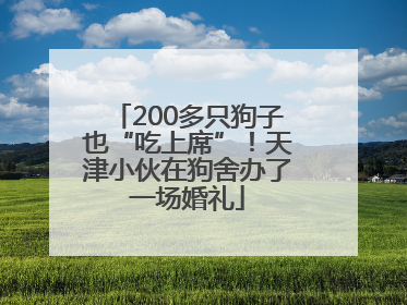 200多只狗子也“吃上席”！天津小伙在狗舍办了一场婚礼