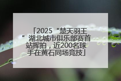 2025“楚天羽王”湖北城市俱乐部赛首站挥拍，近200名球手在黄石同场竞技