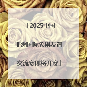2025中国-非洲国际象棋友谊交流赛即将开赛