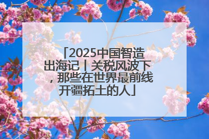 2025中国智造出海记丨关税风波下，那些在世界最前线开疆拓土的人