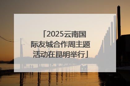 2025云南国际友城合作周主题活动在昆明举行