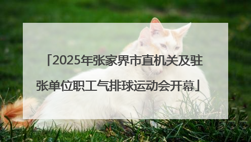 2025年张家界市直机关及驻张单位职工气排球运动会开幕