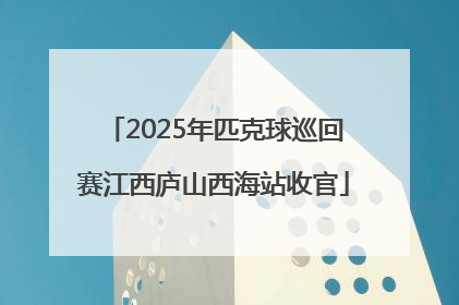 2025年匹克球巡回赛江西庐山西海站收官