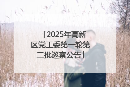 2025年高新区党工委第一轮第二批巡察公告