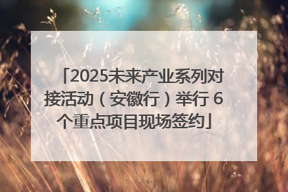 2025未来产业系列对接活动（安徽行）举行 6个重点项目现场签约