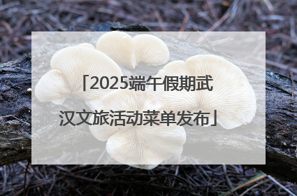 2025端午假期武汉文旅活动菜单发布
