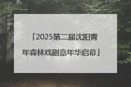 2025第二届沈阳青年森林戏剧嘉年华启幕