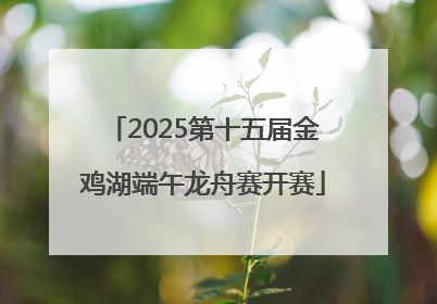 2025第十五届金鸡湖端午龙舟赛开赛