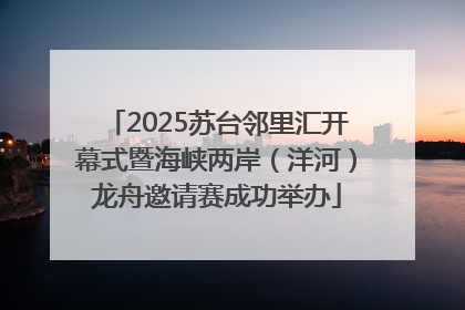 2025苏台邻里汇开幕式暨海峡两岸（洋河）龙舟邀请赛成功举办