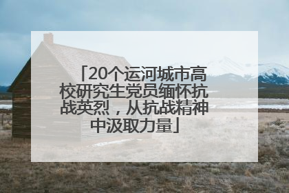 20个运河城市高校研究生党员缅怀抗战英烈，从抗战精神中汲取力量
