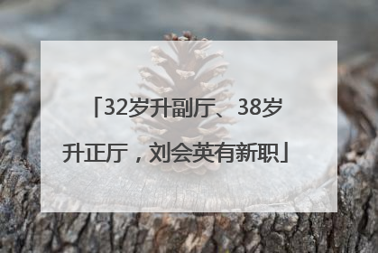 32岁升副厅、38岁升正厅，刘会英有新职