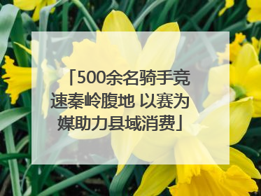 500余名骑手竞速秦岭腹地 以赛为媒助力县域消费
