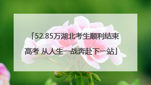 52.85万湖北考生顺利结束高考 从人生一战奔赴下一站