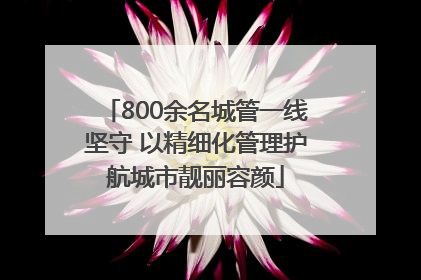800余名城管一线坚守 以精细化管理护航城市靓丽容颜